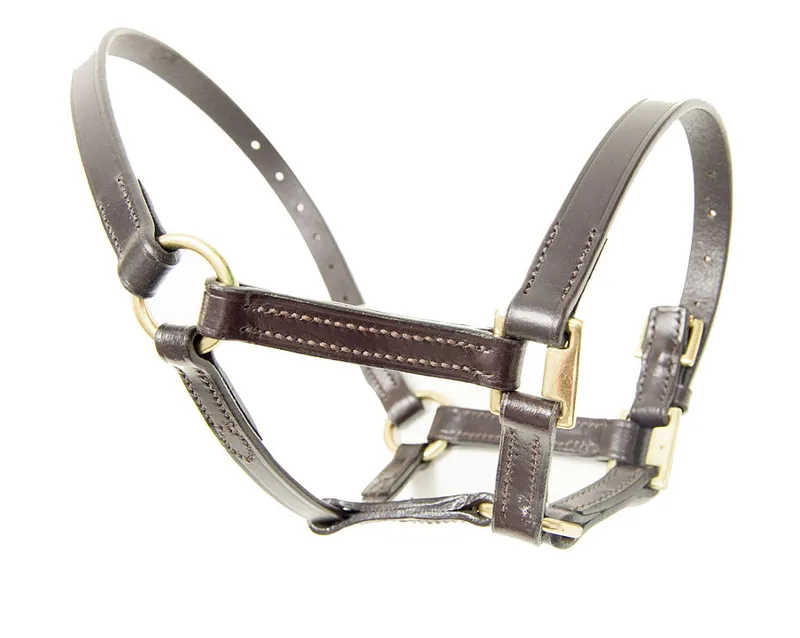 Dever Ascot Leather Foal Headcollar Brown
